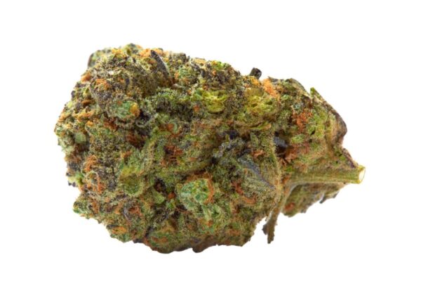 gelato