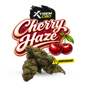 Cherry Haze