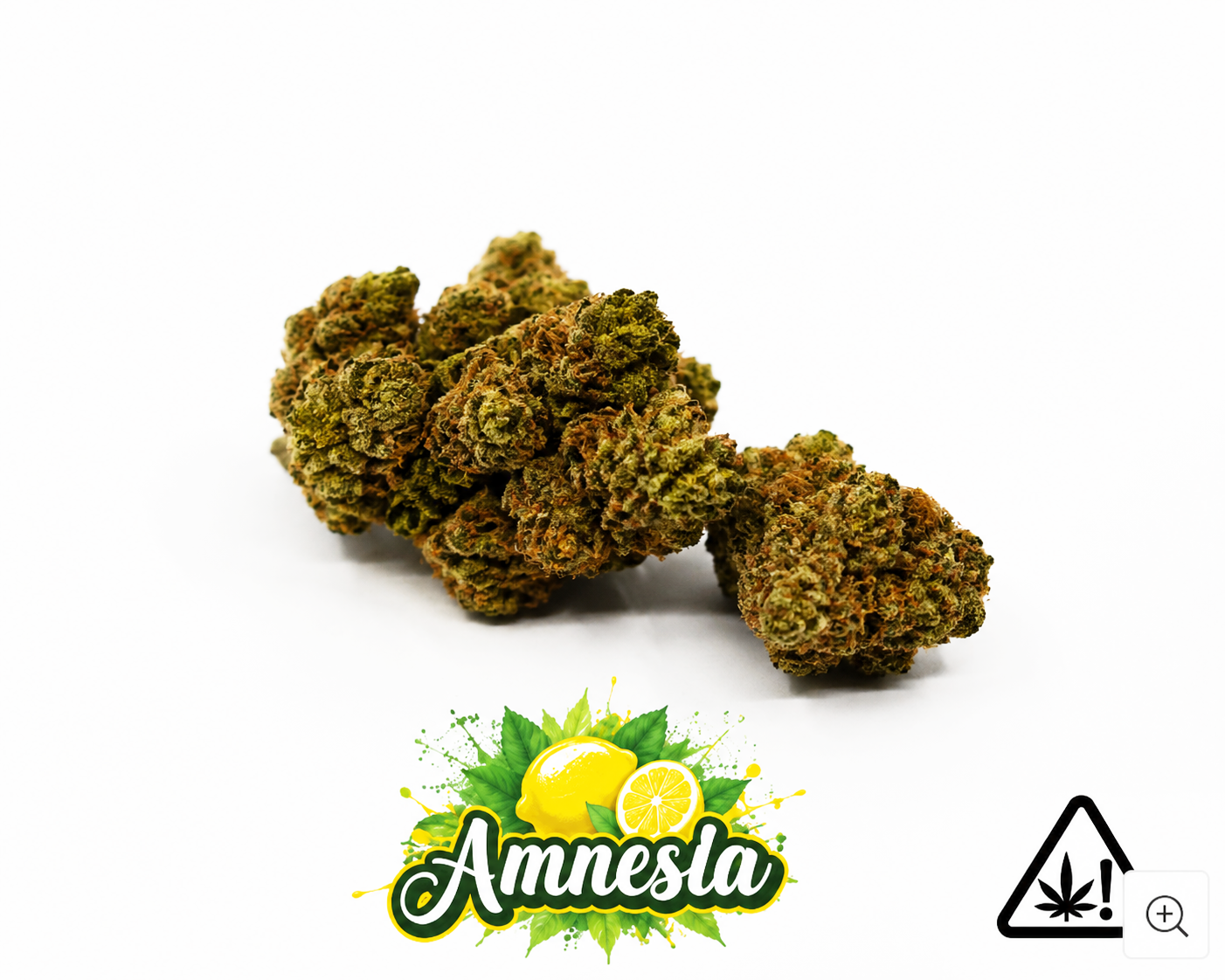 amne edited Amnesia HCE – Image 1