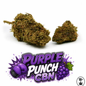 Purple Punch CBN